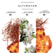 BIBLIOTHEQUE Ultimatum (Ультиматум) EDP women : Bibliotheque de Parfum 2