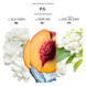 BIBLIOTHEQUE P.S. (P.S.) EDP women : Bibliotheque de Parfum 2