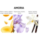 BIBLIOTHEQUE Amoria EDP 100ml woman : Bibliotheque de Parfum 2