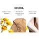 BIBLIOTHEQUE Eclyra EDP 100ml unisex : Bibliotheque de Parfum 2
