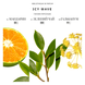 BIBLIOTHEQUE Icy wave (Ледяная волна) EDP unisex : Bibliotheque de Parfum 2
