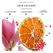 BIBLIOTHEQUE Love catcher (Ловец любви) EDP women : Bibliotheque de Parfum 2