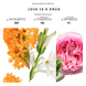 BIBLIOTHEQUE Love is a drug (Любовь наркотик) EDP women : Bibliotheque de Parfum 2