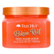 Tree Hut Скраб для тіла Bikini Reef Sugar Scrub 510g : Tree Hut 1
